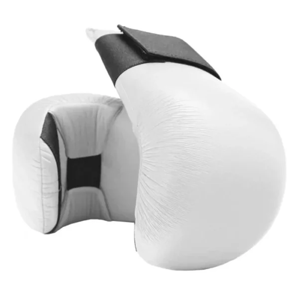 Karate Gloves
