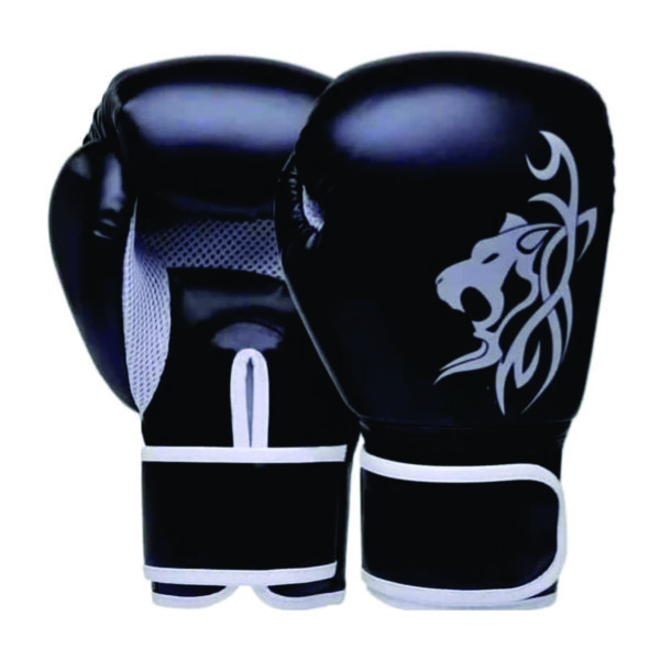 Boxing gloves